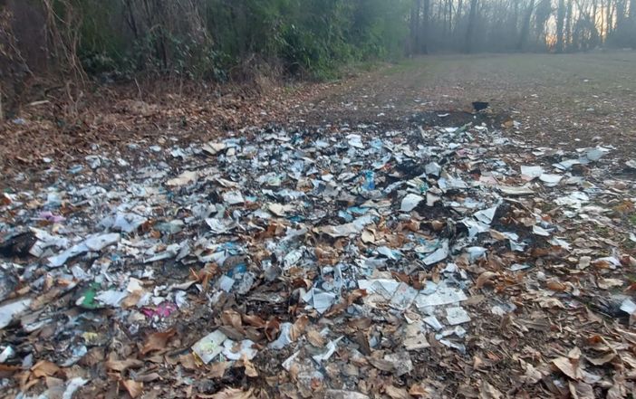 I rifiuti abbandonati a Induno Olona, nel rione Ca' del Bosco (foto dal profilo Facebook del sindaco Marco Cavallin) I rifiuti abbandonati a Induno Olona, nel rione Ca' del Bosco (foto dal profilo Facebook del sindaco Marco Cavallin)