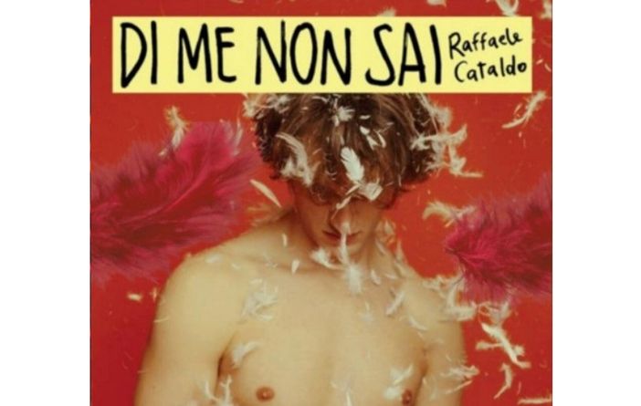 "Di me non sai", romanzo d'esordio di Raffaele Cataldo