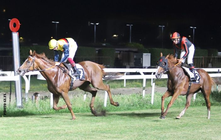Naisha, vincitrice del Premio Mario e Gaetano Benetti (foto Giorgio Filimberti)
