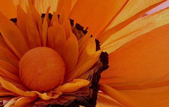 Gavirate sboccia con "Una Città in Fiore": un gesto di cura, consapevolezza e comunità Gavirate sboccia con "Una Città in Fiore": un gesto di cura, consapevolezza e comunità