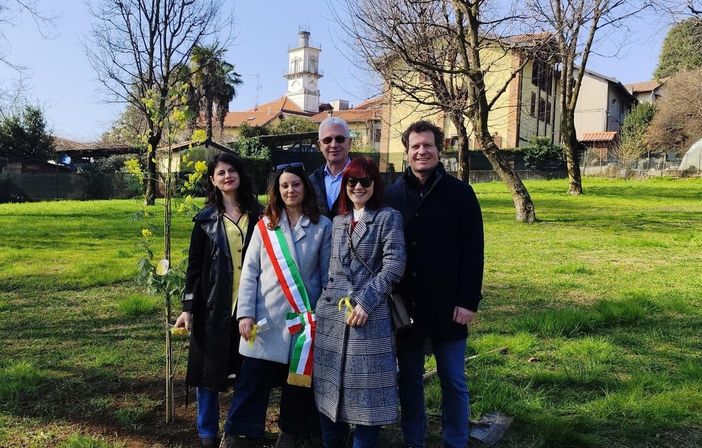 La piantumazione della mimosa a Morazzone