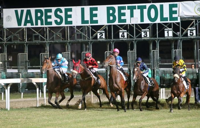 Cavalli in pista d'estate alle Bettole di Varese: la magia del galoppo in uno scenario unico si rinnova, con molte novità, anche quest'anno