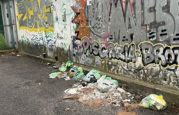 I rifiuti gettati in via dell'Industria a Daverio