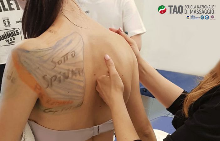 Anatomia palpatoria: perché è importante conoscerla?