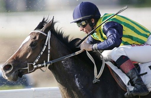 Ippica. Domani alle Bettole cavalli in pista dalle 14.30: Jacopo D'elia corre per voi le 6 corse in programma Ippica. Domani alle Bettole cavalli in pista dalle 14.30: Jacopo D'elia corre per voi le 6 corse in programma