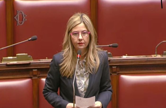 Milleproroghe, Gadda: «Semplificare regime Iva Terzo settore»