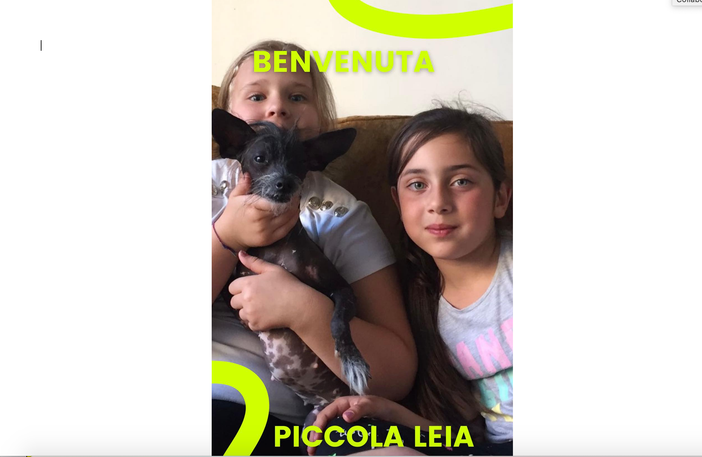 Yeva con la cagnolina Leia e l'amica Chiara, un ritratto di famiglia e felicità - foto per cortesia del sindaco Pignatiello