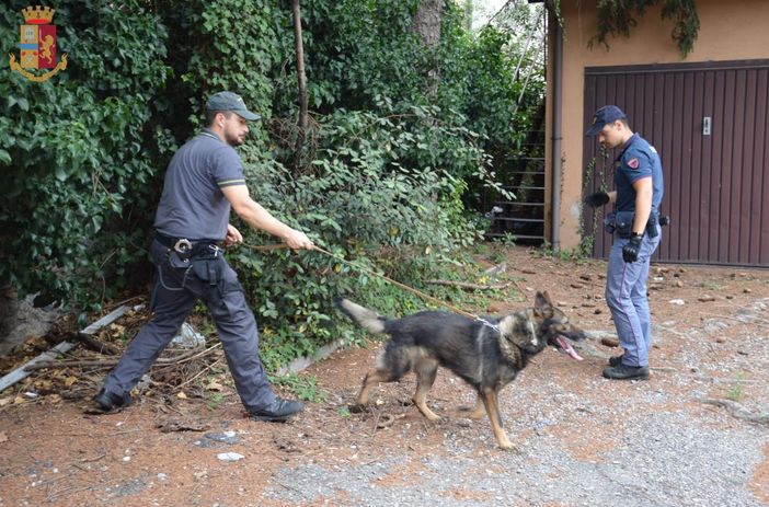 Piazza Repubblica, parchi, aree dismesse: la polizia a caccia di droga nel "cuore di tenebra" di Varese