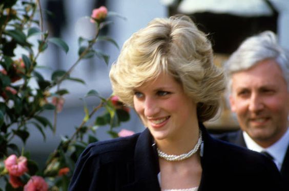 Lady Diana e sullo sfondo l'ex sindaco di Laveno Ercole Ielmini (foto concessa da Ielmini)