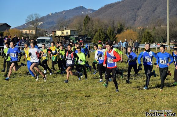 26° Cross di Arcisate: quattordici gare regionali e provinciali 26° Cross di Arcisate: quattordici gare regionali e provinciali