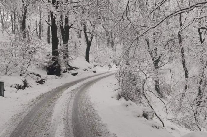 In giornata è attesa la prima neve al Campo dei Fiori