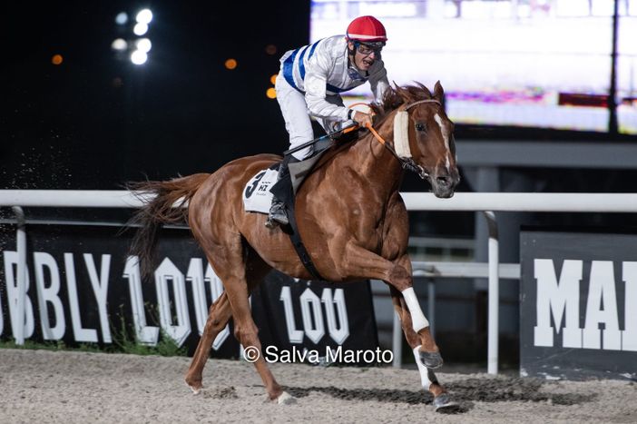 Foto per cortesia di Patrizia Testa Foto per cortesia di Patrizia Testa