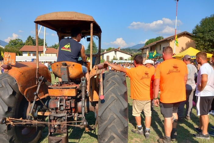 Una delle passate edizioni della Fiera dell'Agricoltura di Monvalle (foto di Francesca Milani dalla pagina Facebook della manifestazione) Una delle passate edizioni della Fiera dell'Agricoltura di Monvalle (foto di Francesca Milani dalla pagina Facebook della manifestazione)