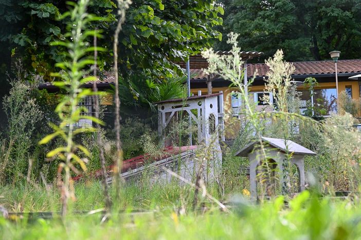 La natura si è ripresa il suo spazio dopo che il minigolf ha perso un "papà". È allo studio un nuovo bando comunale per trovargliene un altro (foto Alessandro Umberto Galbiati) La natura si è ripresa il suo spazio dopo che il minigolf ha perso un "papà". È allo studio un nuovo bando comunale per trovargliene un altro (foto Alessandro Umberto Galbiati)