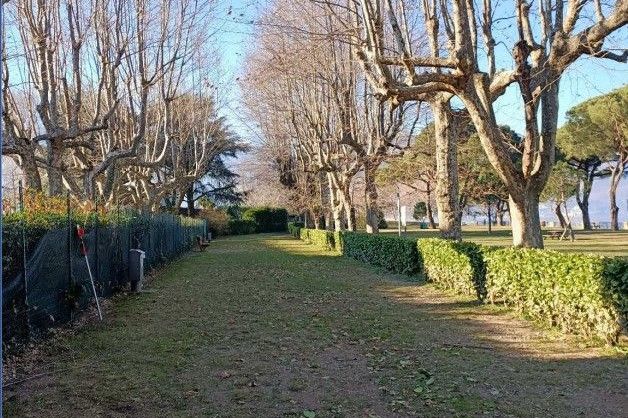 Approvato dal Comune di Germignaga il progetto esecutivo per l'area cani del Parco Boschetto