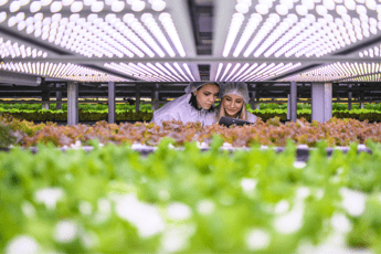 AgriMercati Ismea, positiva la congiuntura nel primo trimestre 2025 AgriMercati Ismea, positiva la congiuntura nel primo trimestre 2025