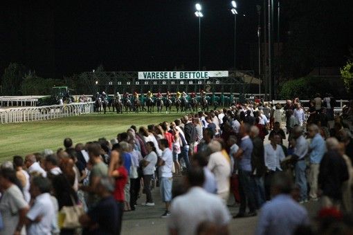 Un martedì all'ippodromo: sei corse in programma domani alle Bettole