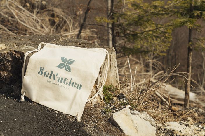 175 nuovi alberi al Campo dei Fiori grazie al team di Selvatica
