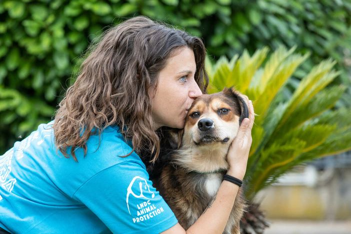 "Un inverno senza gabbie", la campagna di LDC Animal Protection: «Aprite casa e cuore»