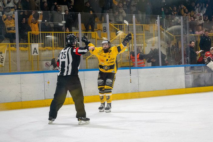 Raphael Bastille, 34 punti (15 gol, 19 assist) in 19 partite con i Mastini - Fotografia Galbiati
