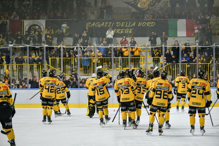 Mastini e pubblico giallonero sono una cosa sola (Foto Galbiati)