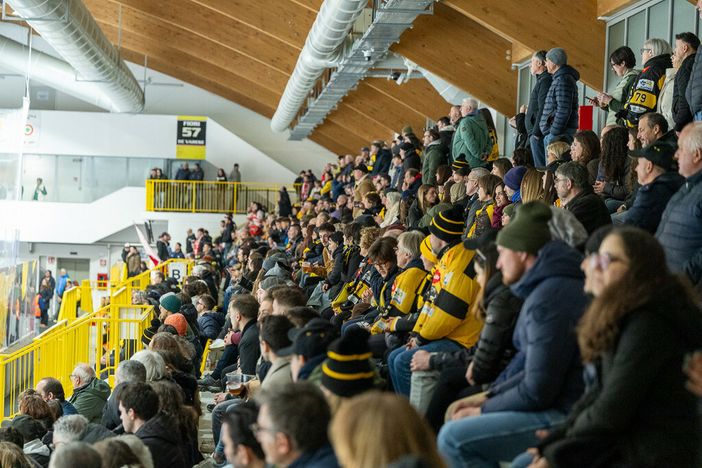 Semifinale con l'Aosta, la grande attesa: prezzi dei biglietti e prelazione per gli abbonati, ecco come spingere i Mastini in gara 2