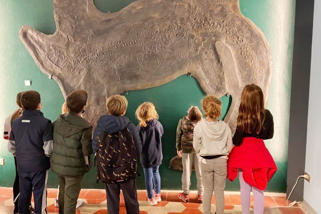 Fossili di Besano: due visite guidate per ammirare i reperti restaurati grazie alla comunità locale