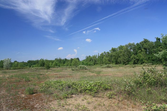 Audizione in Regione Lombardia per istituzione Sito di Interesse Comunitario delle Brughiere Malpensa-Lonate