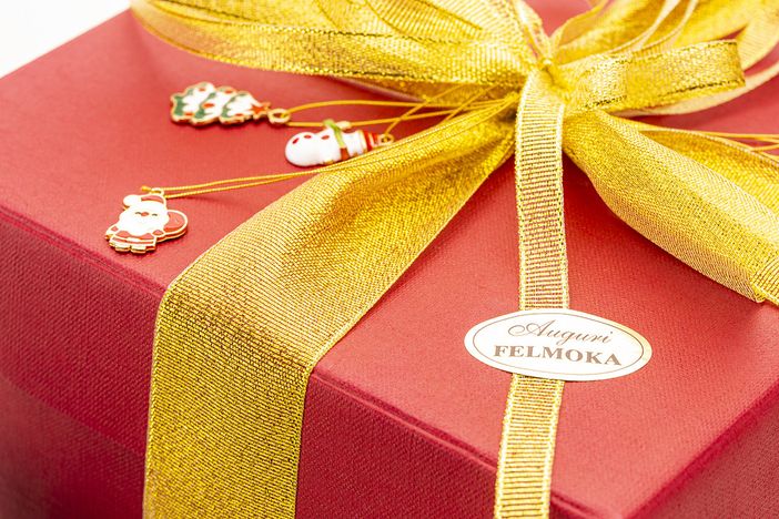 Servizio a cura di Giulia Nicora Servizio a cura di Giulia Nicora