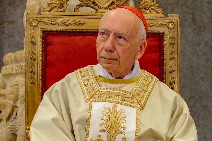Il card. Coccopalmerio in una foto tratta dal sito Chiesa di Milano Il card. Coccopalmerio in una foto tratta dal sito Chiesa di Milano