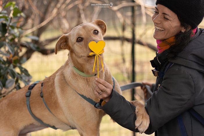 Banchetto del Canile di Varese in centro per la Festa della Donna