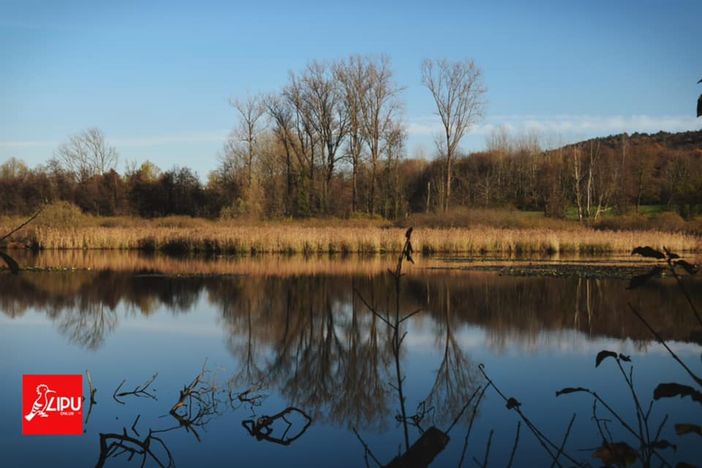 Un mese di aprile in mezzo alla natura alla Palude Brabbia