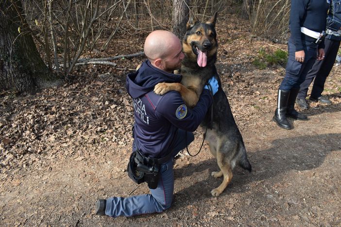 Blitz anti droga al Parco Pineta: il cane poliziotto Radau scopre l'hashish nascosto sotto terra Blitz anti droga al Parco Pineta: il cane poliziotto Radau scopre l'hashish nascosto sotto terra