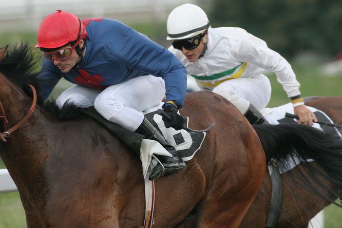 IPPICA. Domani riscaldatevi con lo spettacolo delle Bettole. E con i pronostici di Jacopo D'Elia IPPICA. Domani riscaldatevi con lo spettacolo delle Bettole. E con i pronostici di Jacopo D'Elia