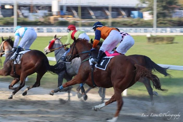 Le Bettole iniziano a vestirsi a festa: domani sera 6 corse top, nell'aria c'è profumo di Gran Premio Le Bettole iniziano a vestirsi a festa: domani sera 6 corse top, nell'aria c'è profumo di Gran Premio