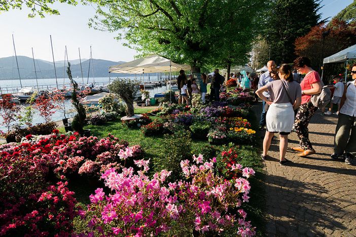 Torna a Ispra InFiorita: evento dedicato a florovivaismo, benessere e sostenibilità