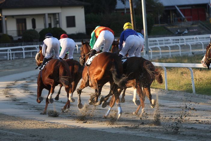 Dallo Sforzato all'Inferno, domani all'ippodromo il galoppo è di...vino