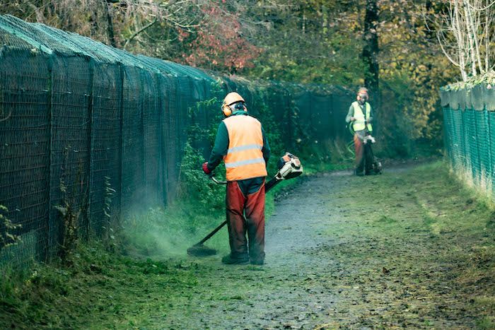 Via erbacce, foglie e sterpaglie: lavori di manutenzione e pulizia sulla ciclabile del lago avanti tutta
