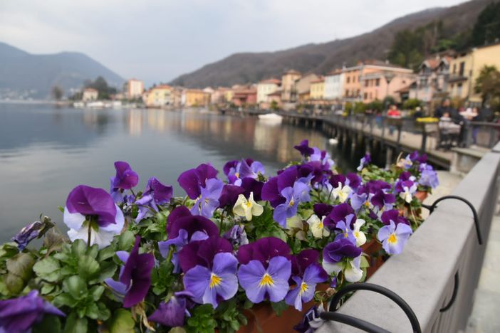 Fiori sulla passerella lungolago di Porto Ceresio