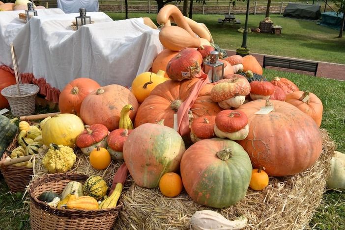 Osmate paese delle zucche, sabato e domenica ritorna la tradizionale sagra
