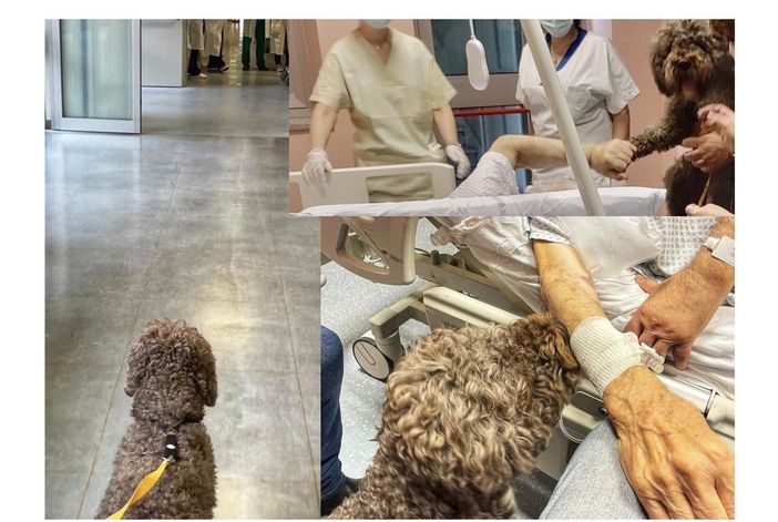 foto dalla pagina Facebook dell'Asst Nord Milano foto dalla pagina Facebook dell'Asst Nord Milano