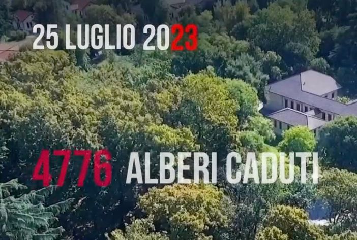 I 4.776 alberi caduti e il grande cuore dei milanesi