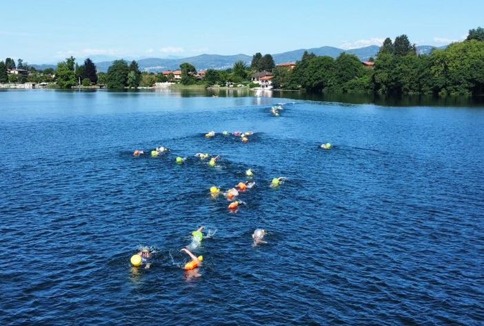 VIDEO. La traversata a nuoto del lago di Monate sempre più internazionale e domenica arriva la Gavirate-Schiranna e la notturna di Bodio