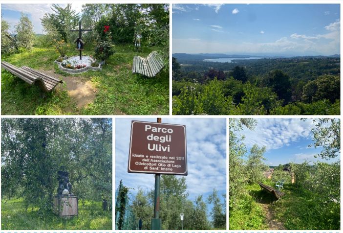 Le immagini del Parco degli Ulivi di via Monte Bernasco e di uno dei panorami più belli di Varese Le immagini del Parco degli Ulivi di via Monte Bernasco e di uno dei panorami più belli di Varese