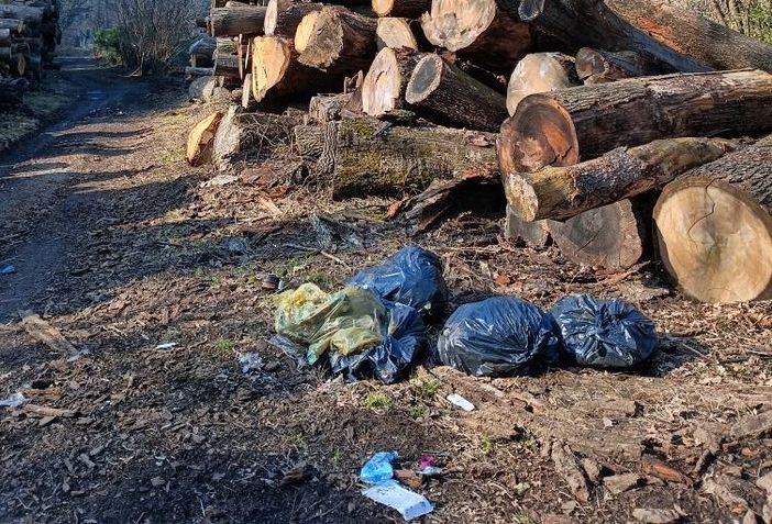 Alcuni sacchi dell'immondizia abbandonati a Casorate Sempione(foto dalla pagina Facebook del sindaco)