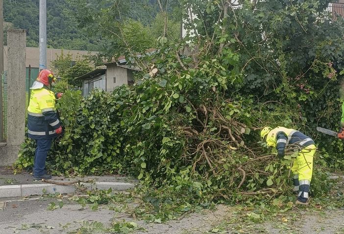 Un intervento della Protezione Civile di Laveno Mombello (foto dalla pagina Facebook della Prociv lavenese)