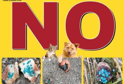 Il Comune di Fagnano è impegnato in una campagna contro l'avvelenamento degli animali