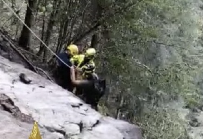 Valsesia, due cercatori di funghi del Varesotto dispersi nei boschi: salvati dopo ore di ricerche Valsesia, due cercatori di funghi del Varesotto dispersi nei boschi: salvati dopo ore di ricerche