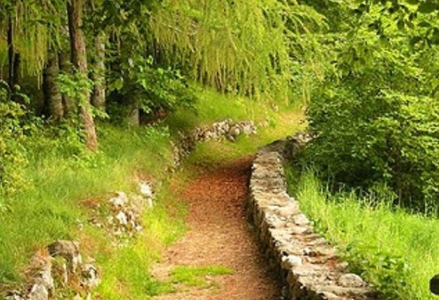 “I sentieri del ben-essere”: la presentazione a Lonate Pozzolo “I sentieri del ben-essere”: la presentazione a Lonate Pozzolo