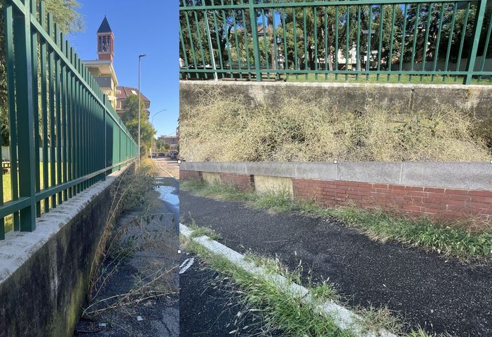 FOTO. Dal parco alla scuola, Sant'Edoardo protesta per le erbacce. «Sfalci regolari a Busto ma vedremo se si potrà aumentare la cifra a bilancio»